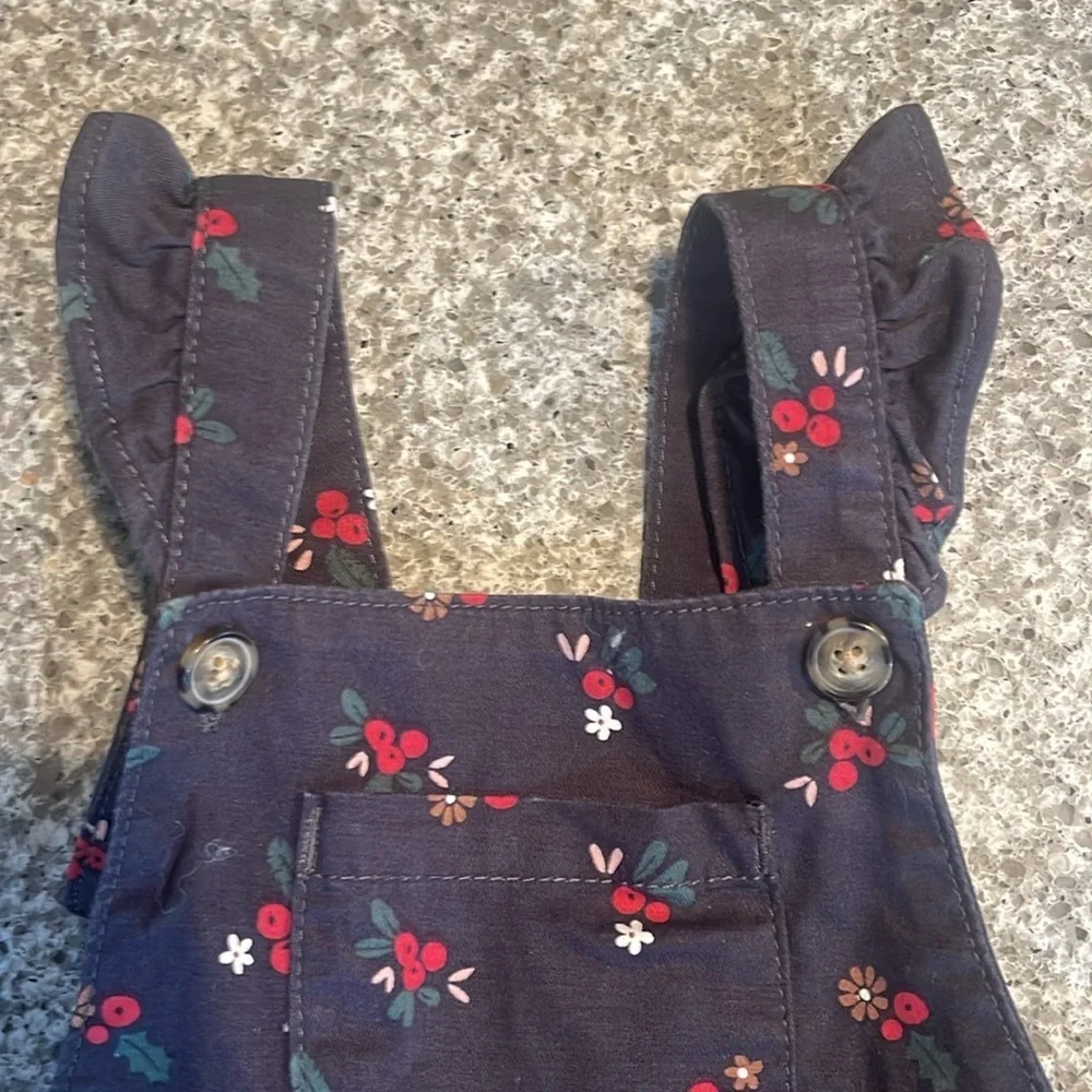Carters baby girl pattern overallsl